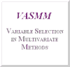 VASMM